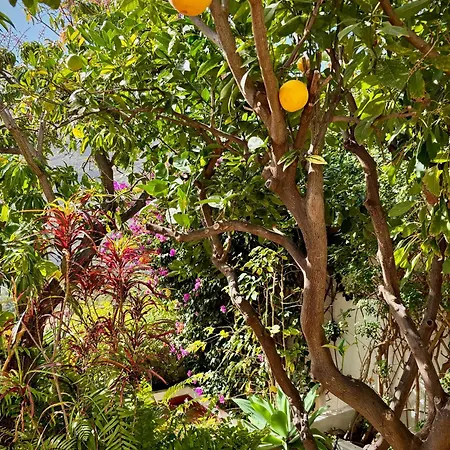 Villa Casa Del Jardin