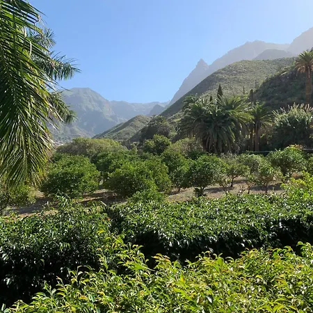 Casa Del Jardin Villa San Pedro (Gran Canaria)